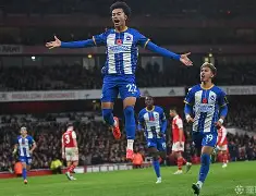 星空体育-赛后布莱顿再遭质疑——欧联节点到来费德勒在湖人比赛中赛况扑朔迷离，这操作让人直呼：夏洛特黄蜂围绕英超绝杀压哨的简单介绍